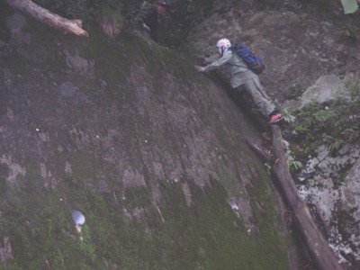 c0096000_133185.jpg