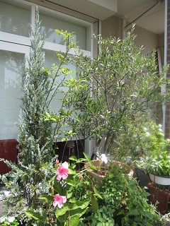 c0152002_18203259.jpg