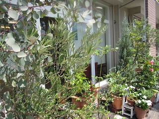 c0152002_18205425.jpg
