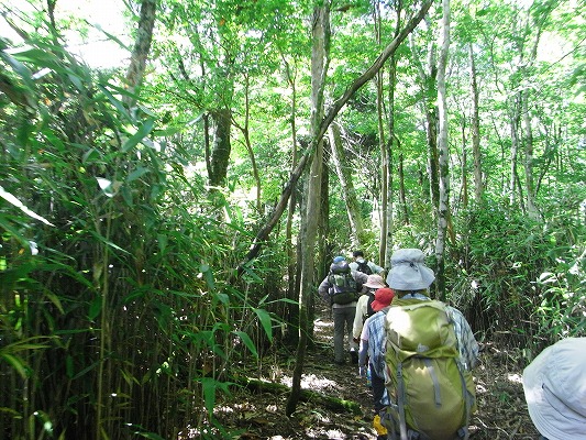 f0187402_2122774.jpg