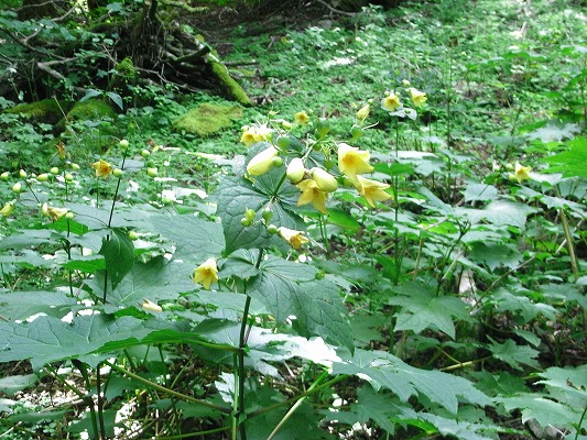 f0187402_2123887.jpg