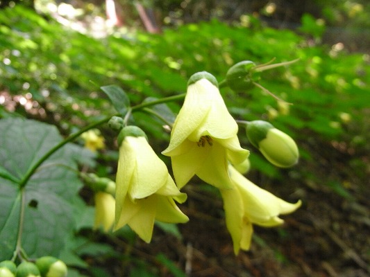 f0187402_2124851.jpg