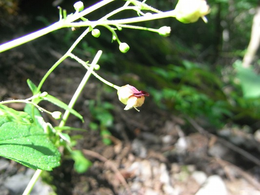 f0187402_2125621.jpg