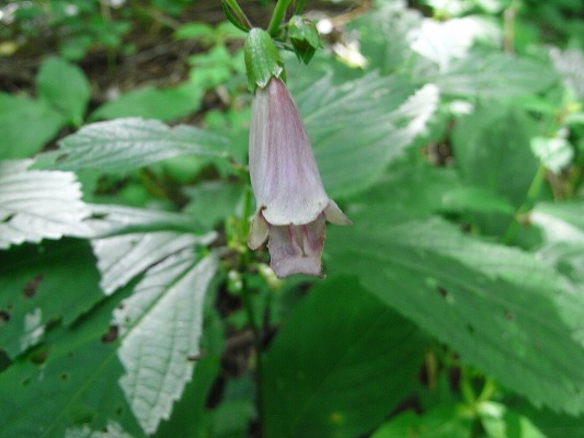 f0187402_213438.jpg