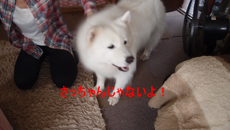 e0018604_2031128.jpg