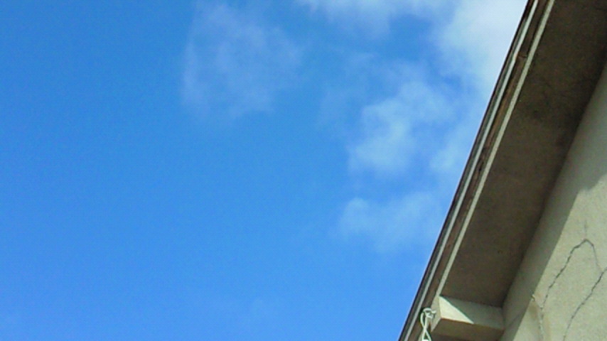 d0149105_7473360.jpg