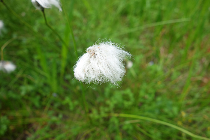 a0148606_11342171.jpg