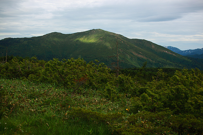 a0148606_11412647.jpg