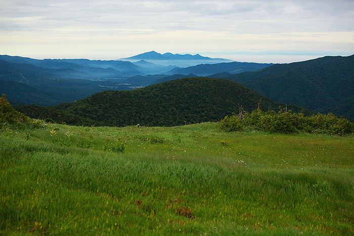 a0148606_11414054.jpg
