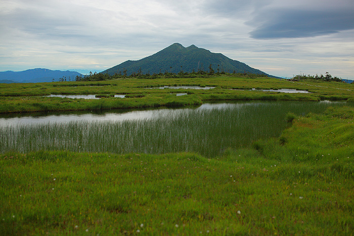 a0148606_11424029.jpg