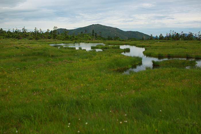 a0148606_11432843.jpg