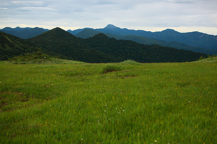 a0148606_1144097.jpg