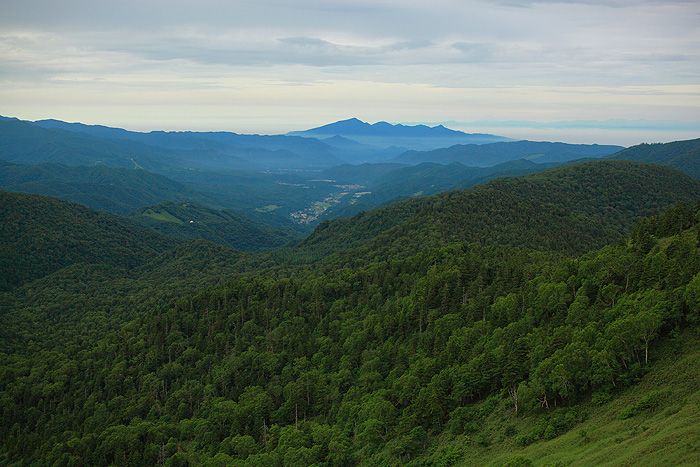 a0148606_11442147.jpg