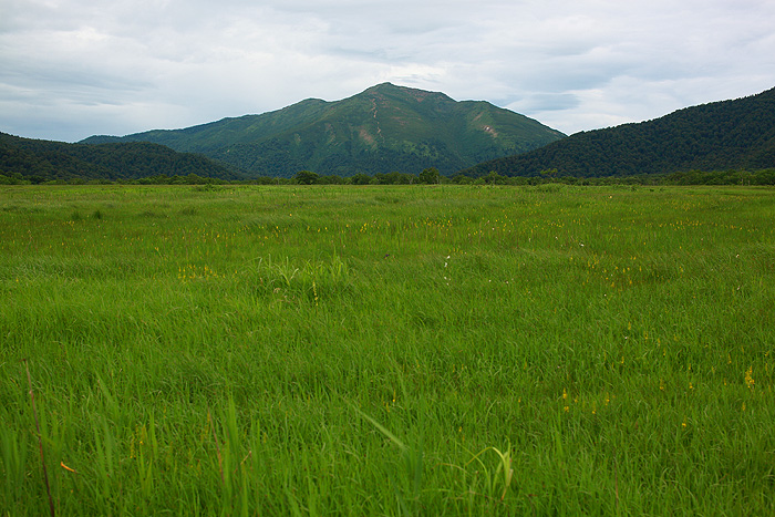 a0148606_11452863.jpg