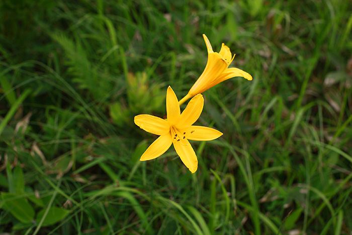a0148606_1148973.jpg
