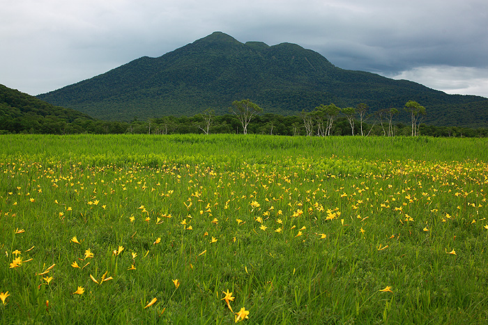 a0148606_11522919.jpg