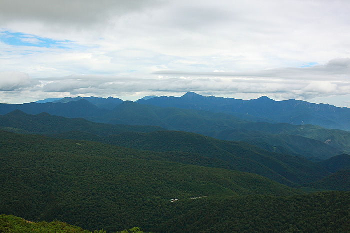 a0148606_1211527.jpg