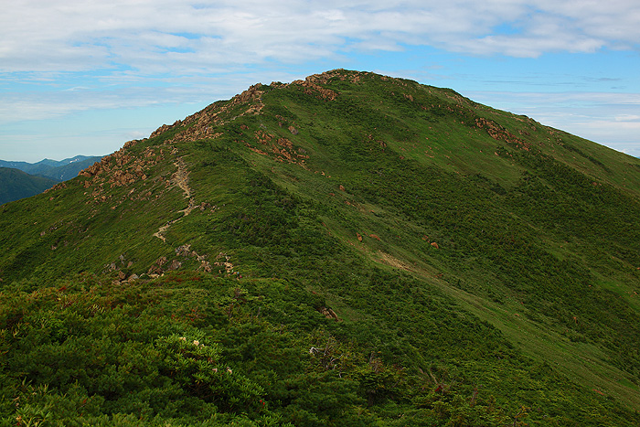 a0148606_12134173.jpg
