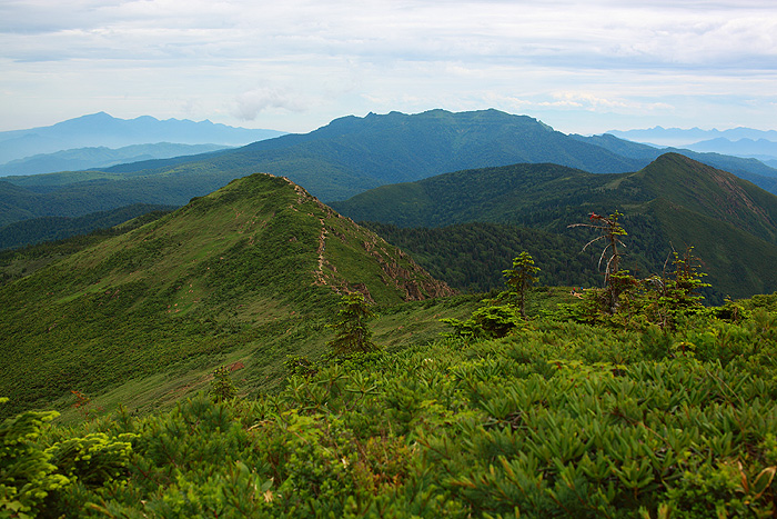 a0148606_1213426.jpg