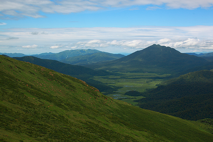 a0148606_1214152.jpg