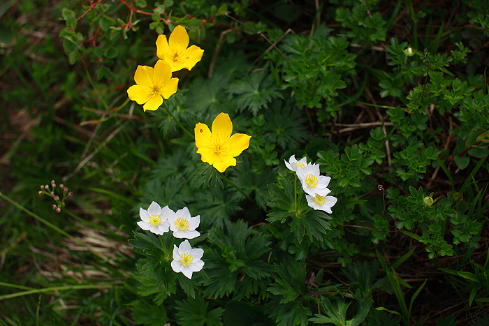 a0148606_1215187.jpg