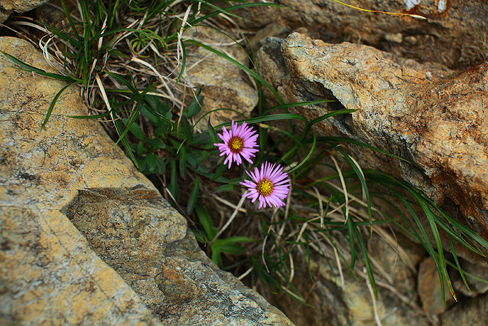 a0148606_1253144.jpg