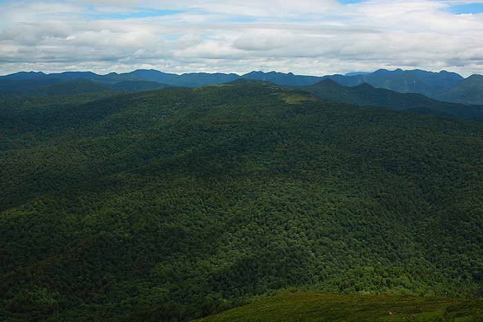 a0148606_1271716.jpg