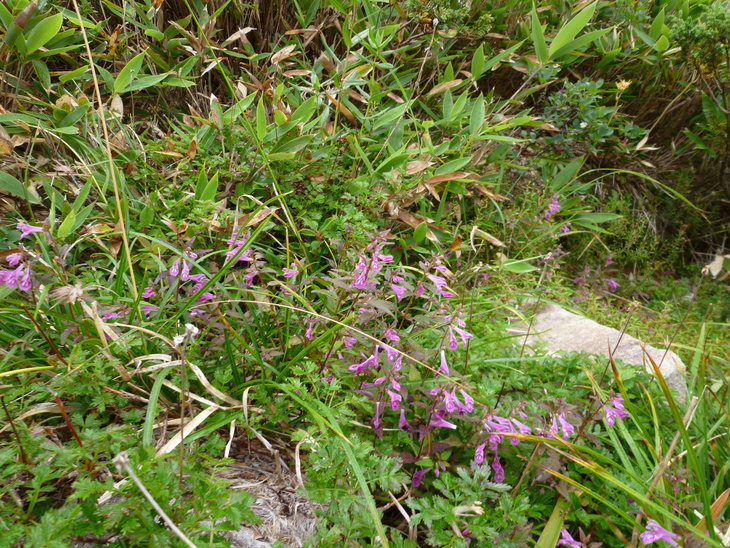 d0170615_1643068.jpg
