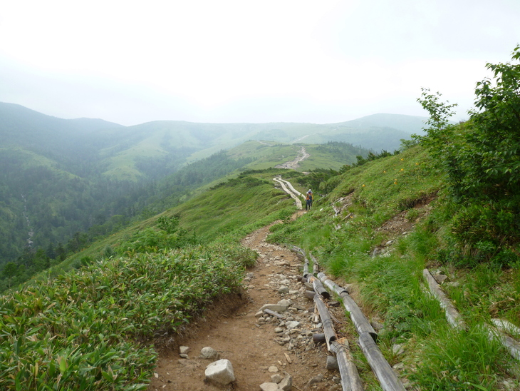 d0170615_16431910.jpg