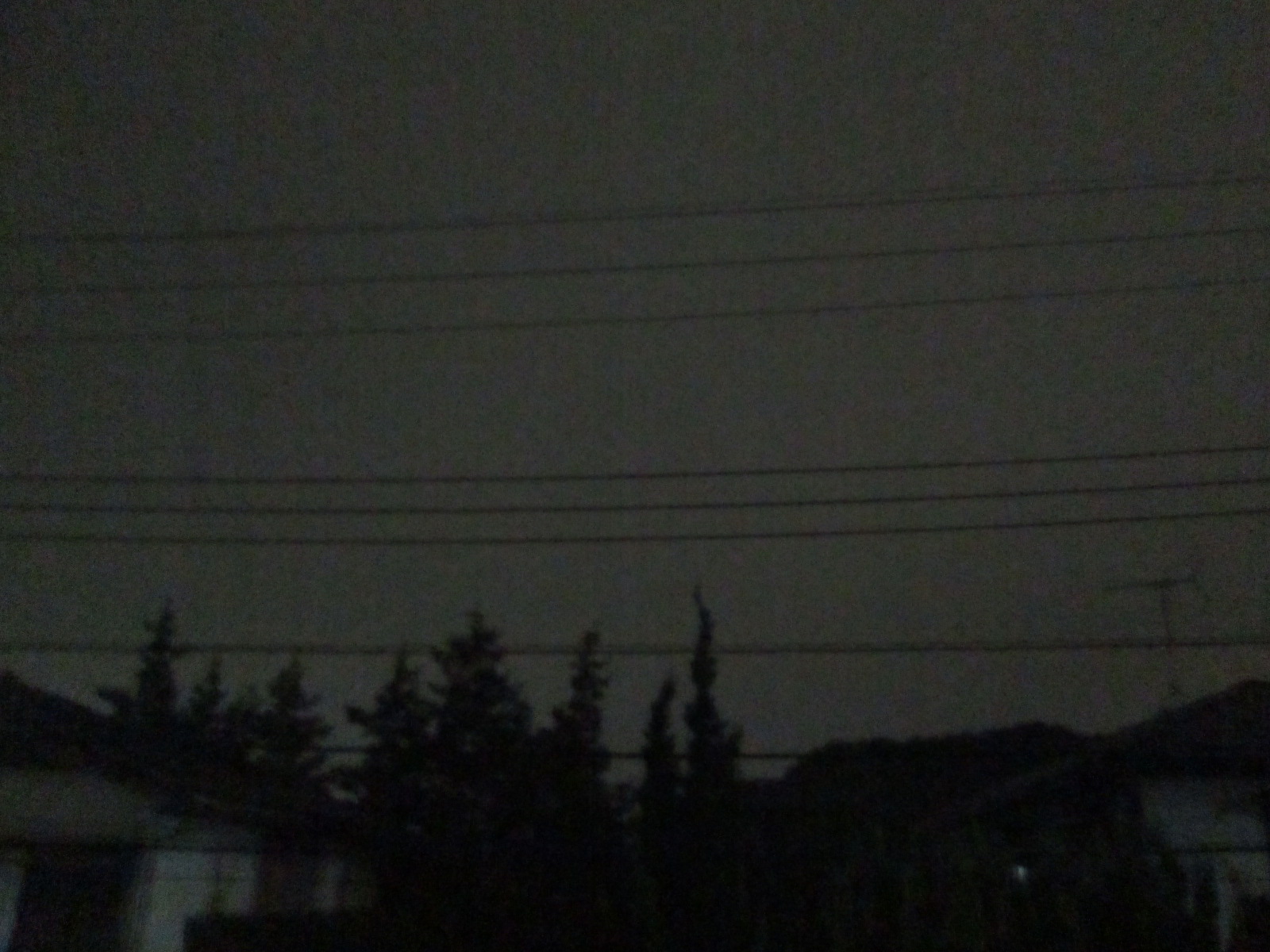 d0197317_20281363.jpg