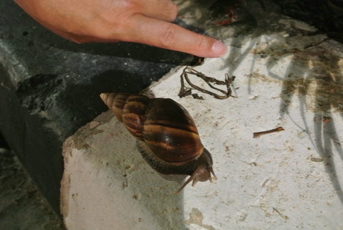 e0219520_1735786.jpg