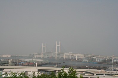 c0071221_10561783.jpg