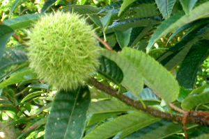 b0252727_5505675.jpg