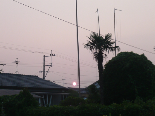 a0206332_1230141.jpg