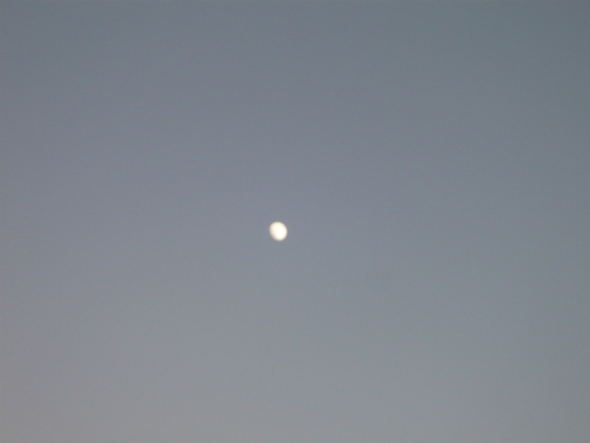 a0206332_12313578.jpg
