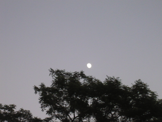 a0206332_12324553.jpg