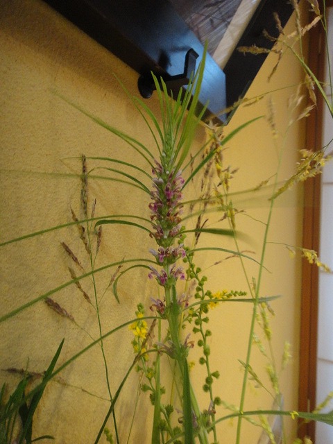 f0208737_893176.jpg