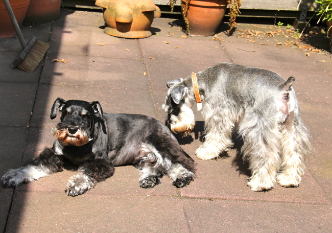c0153740_22371690.jpg