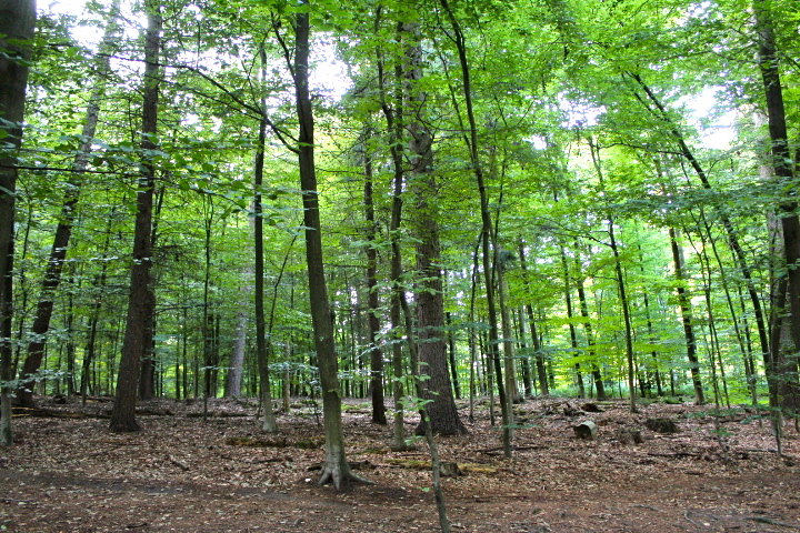 c0153740_22382322.jpg