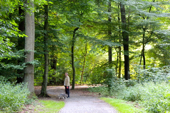 c0153740_223843.jpg