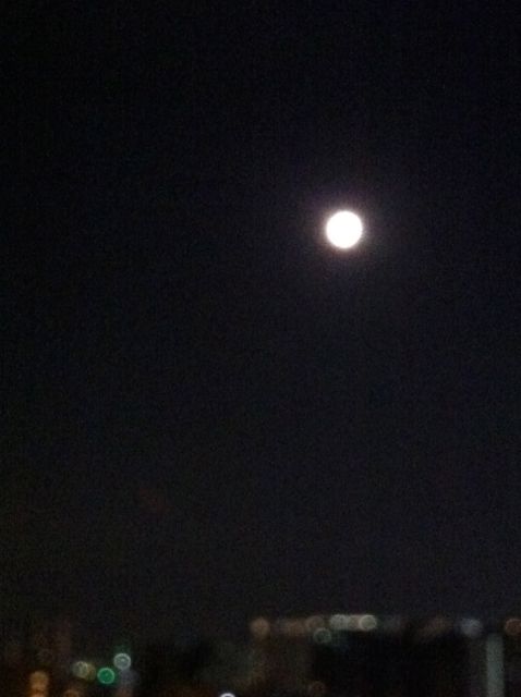 d0256347_22205683.jpg