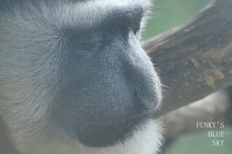 c0145250_9574680.jpg