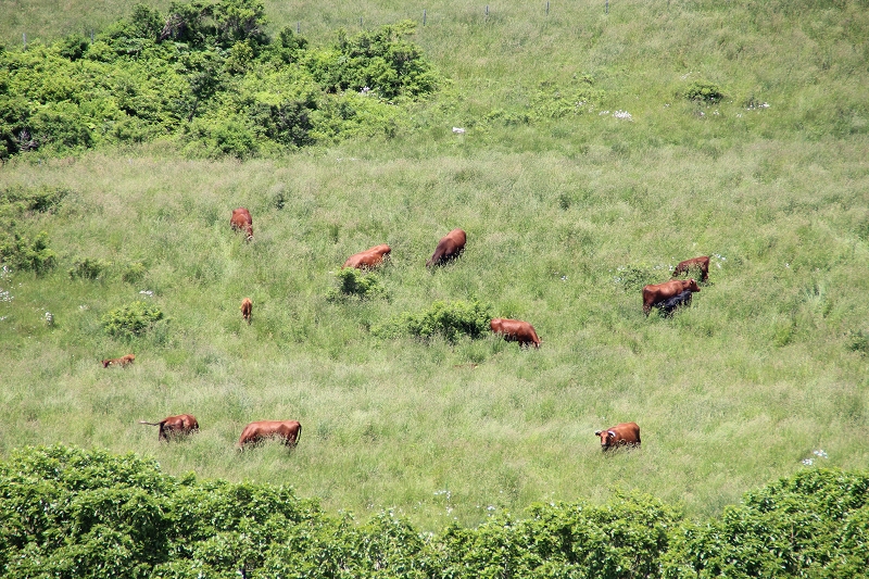 b0250154_21372654.jpg