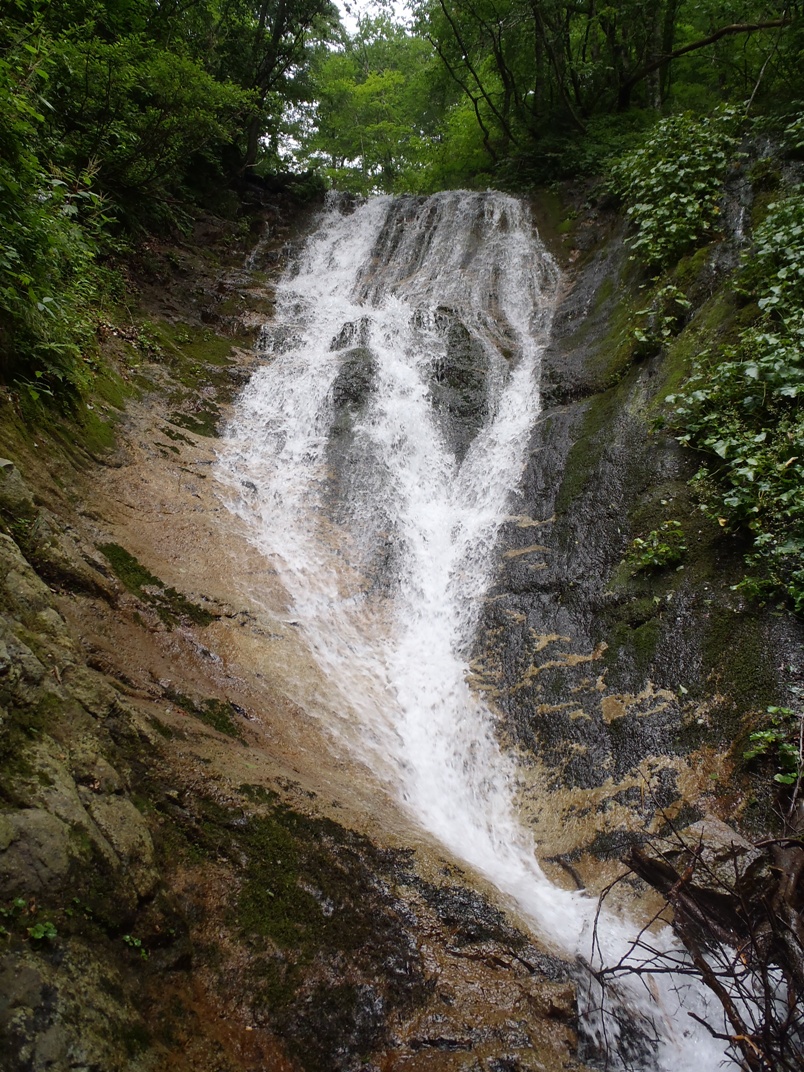 d0169556_12532332.jpg