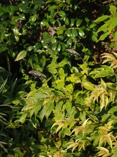 b0246758_1432088.jpg