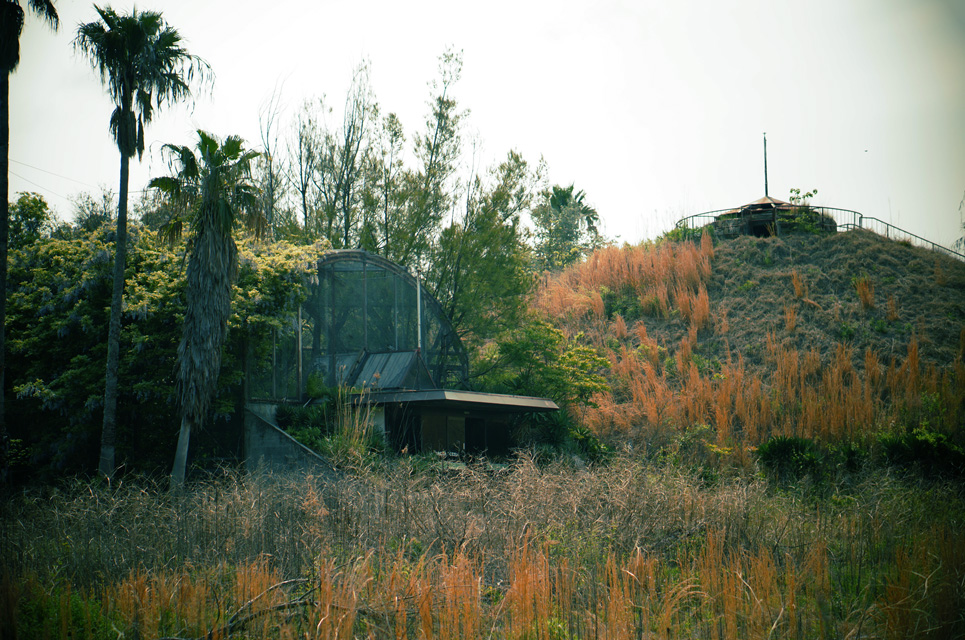 e0066861_035255.jpg