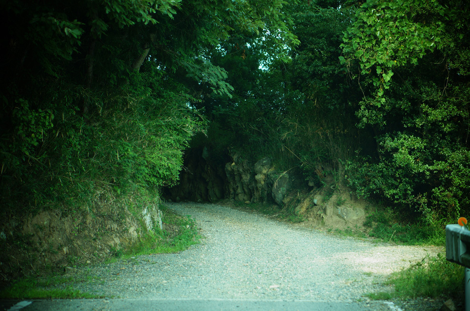 e0066861_0361086.jpg