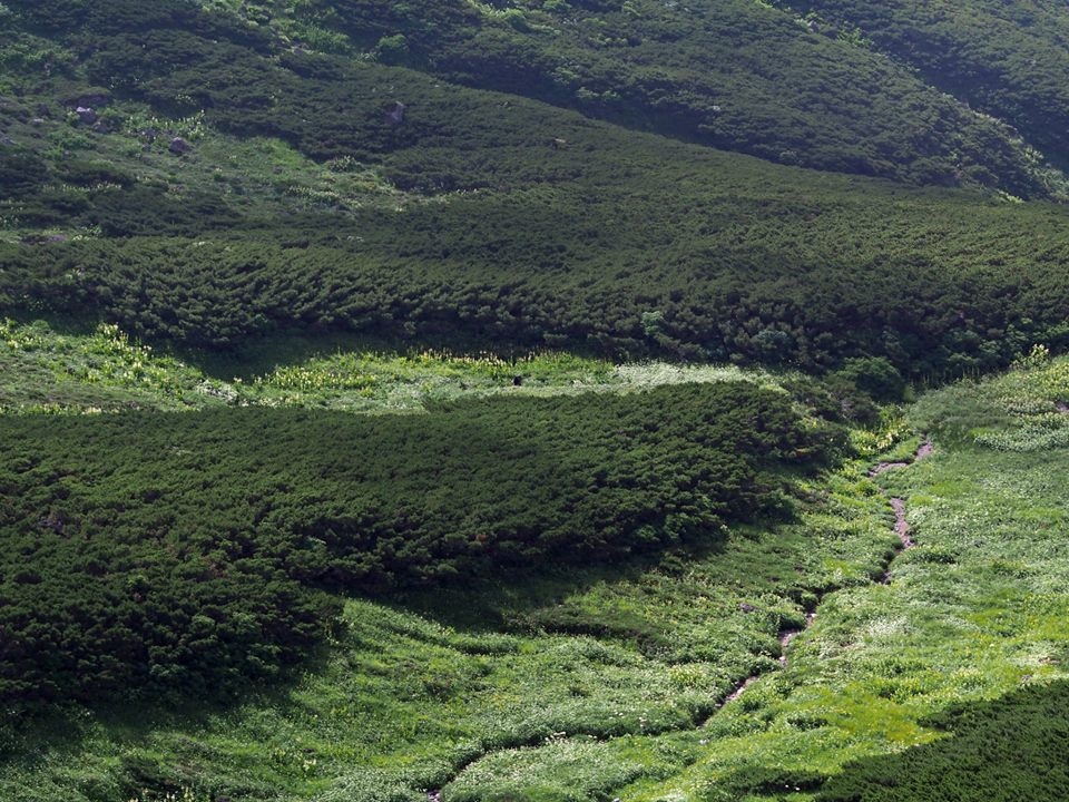 c0123363_1281922.jpg
