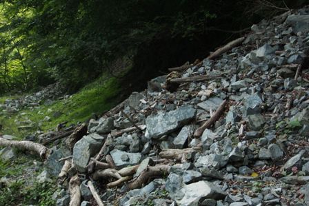 e0307372_20541720.jpg