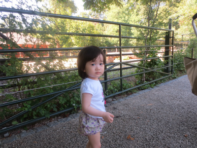 d0233283_84425.jpg